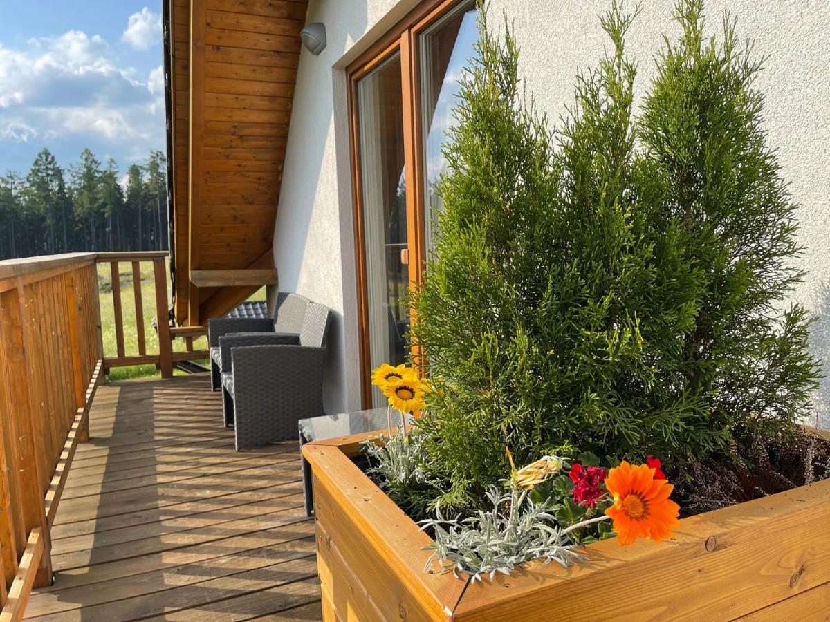Max Apartment Vaclavov u Bruntalu