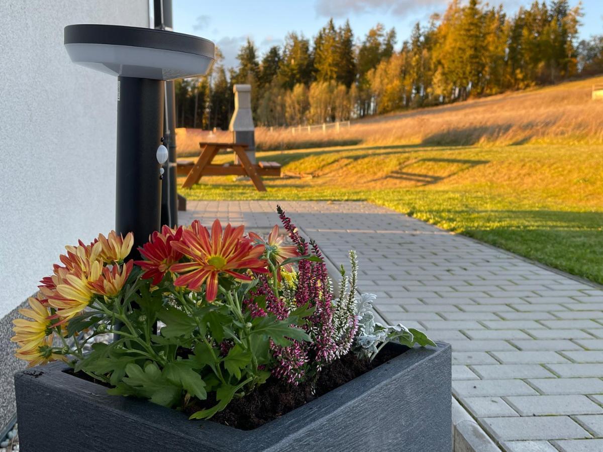Max Apartmán Vaclavov u Bruntalu
